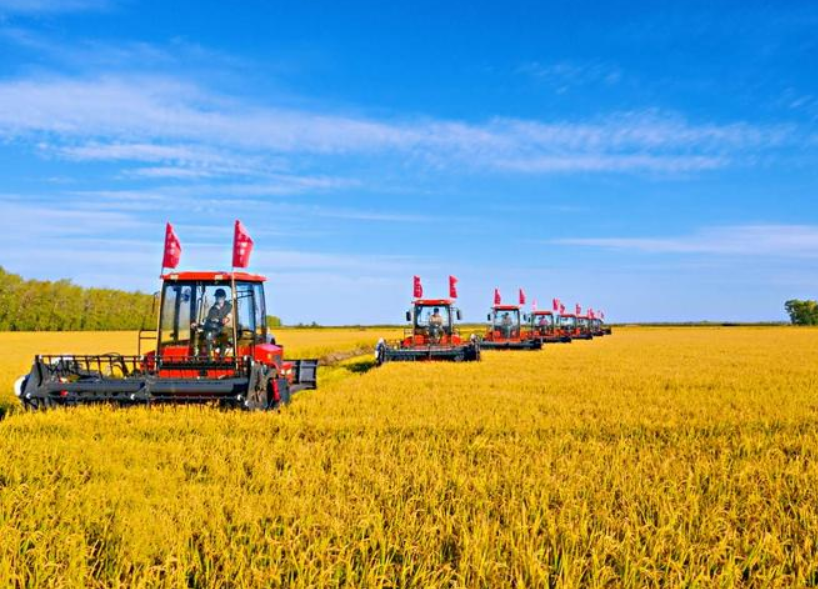 農(nóng)產(chǎn)品配送公司為您分享報道:今年全年糧食有望再獲豐收