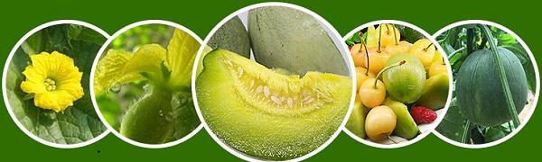 1760177631.jpg tupian_xianggua2.jpg