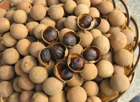 1760259334.jpg tupian_guiyuangan.jpg